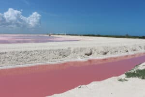 Private Rio Lagartos Flamingo Pink Lakes