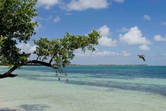 Tour privato della biosfera di Sian Ka'an
