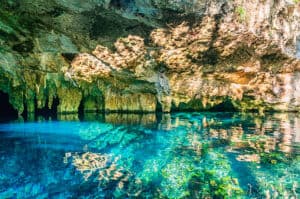 Top 10 Best Cenotes in the Yucatan Peninsula