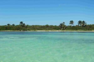 Riviera Maya Tours- Immerse in all the sights & sounds of this beautiful place.