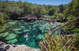 Coral reefs in Riviera Maya