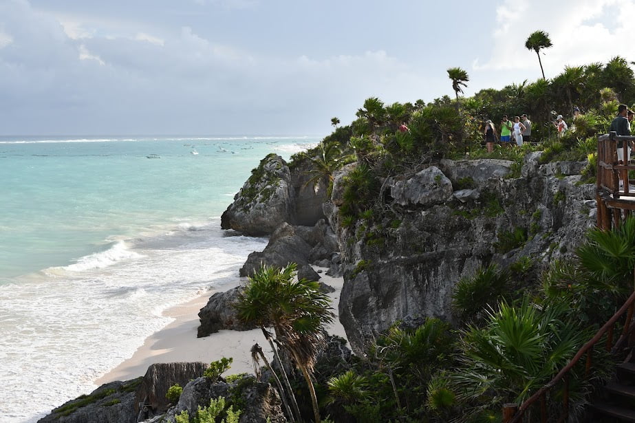 Jungle at Tulum National Park.