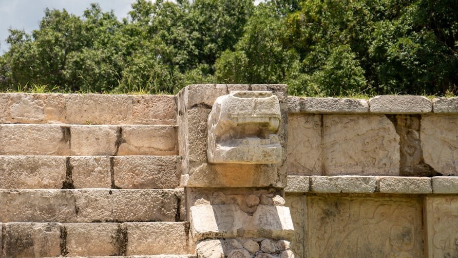 article bffa fe f ffc featured