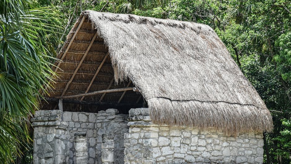 article cef d f eaddbb featured