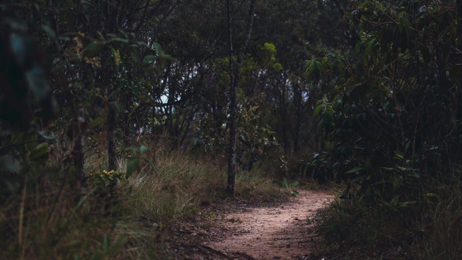 article a f c be abd featured