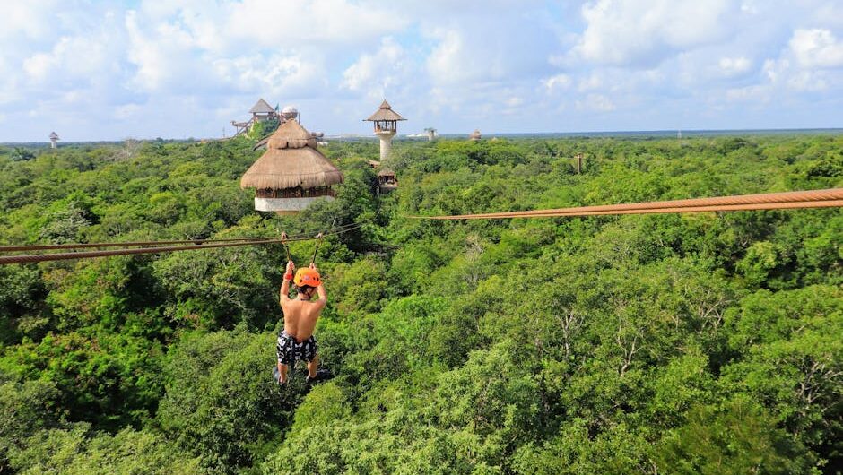 article d e db ac ae featured