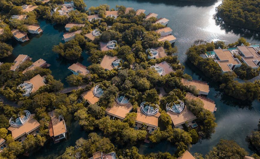 article b e d e cecf featured