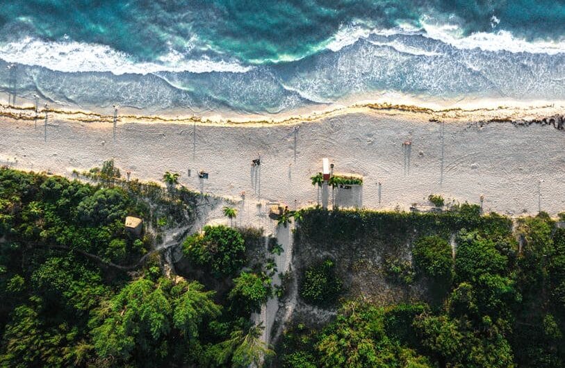 article efcf e baf afaf featured