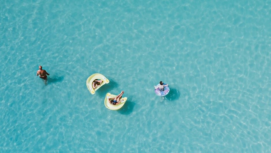 article fdd e a fede featured