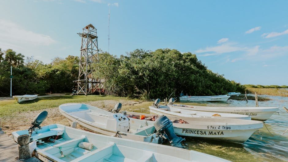 article fdfbeee d ca b bce featured