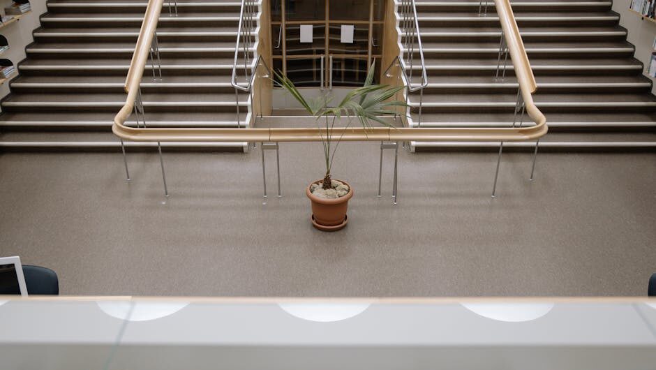 article dda ec fd bae dece featured